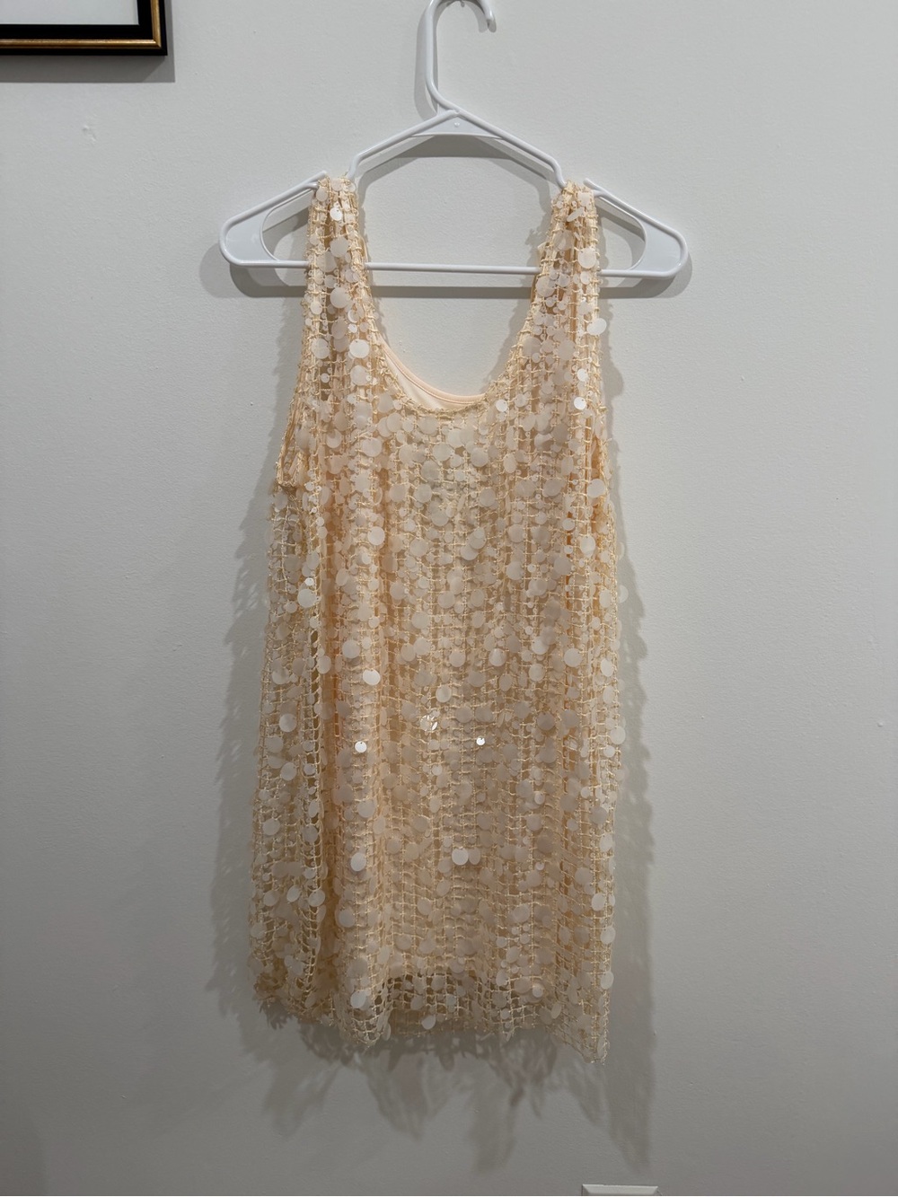Intimates & Sleepwear Subcategory Identification